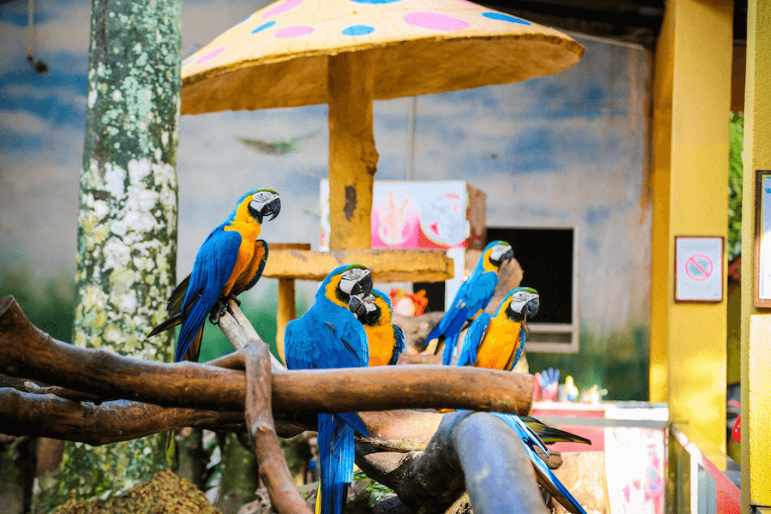 Langkawi WildLife Park