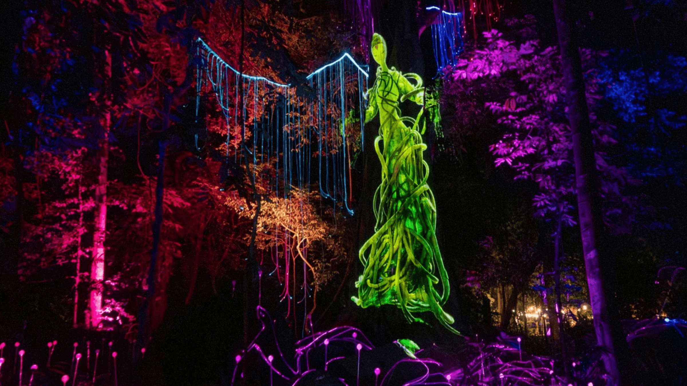 Dream Forest Langkawi