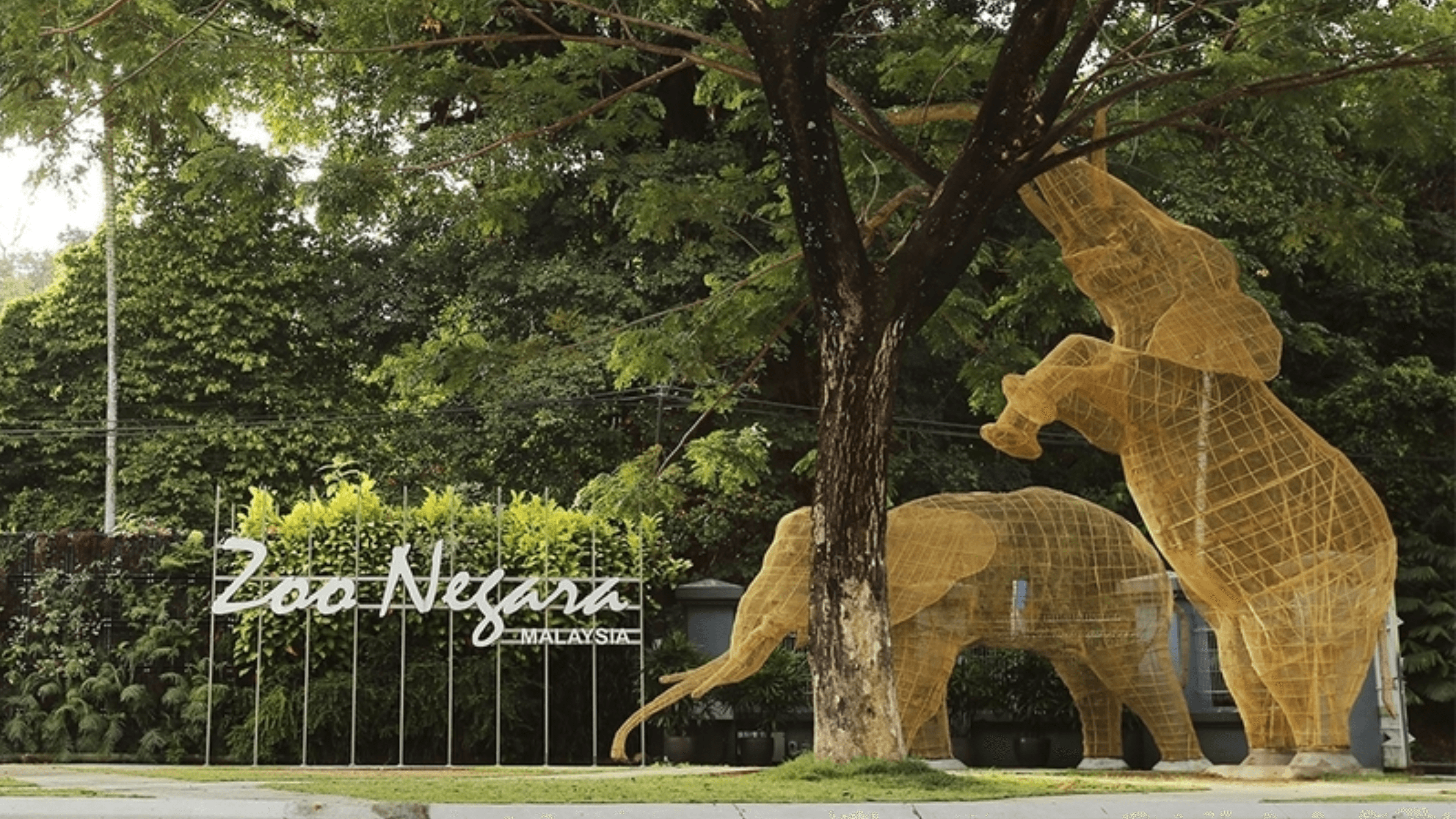 Zoo Negara