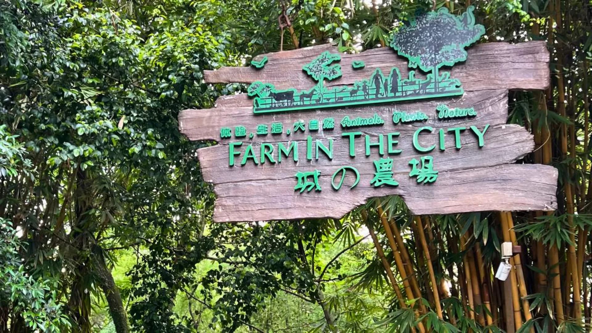 Farm In The City image 1