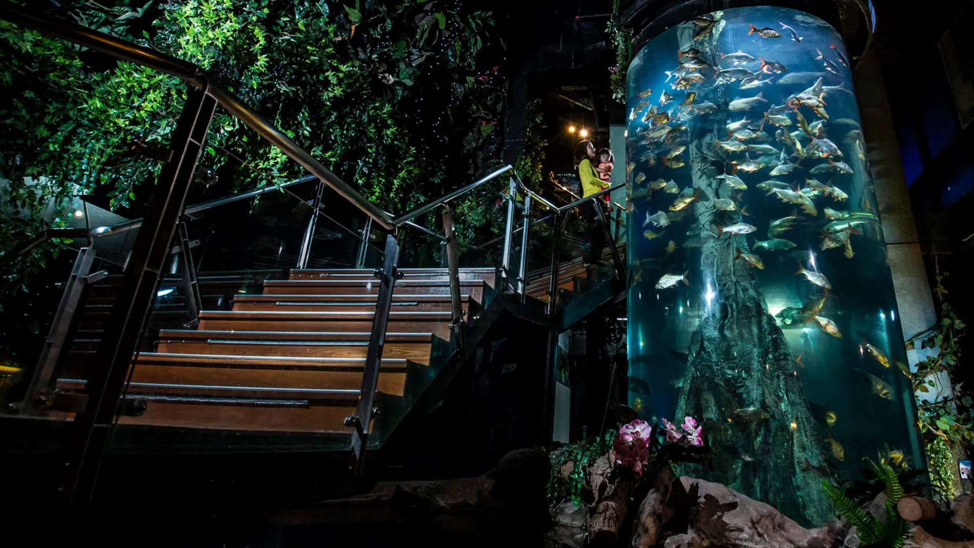 Aquaria KLCC