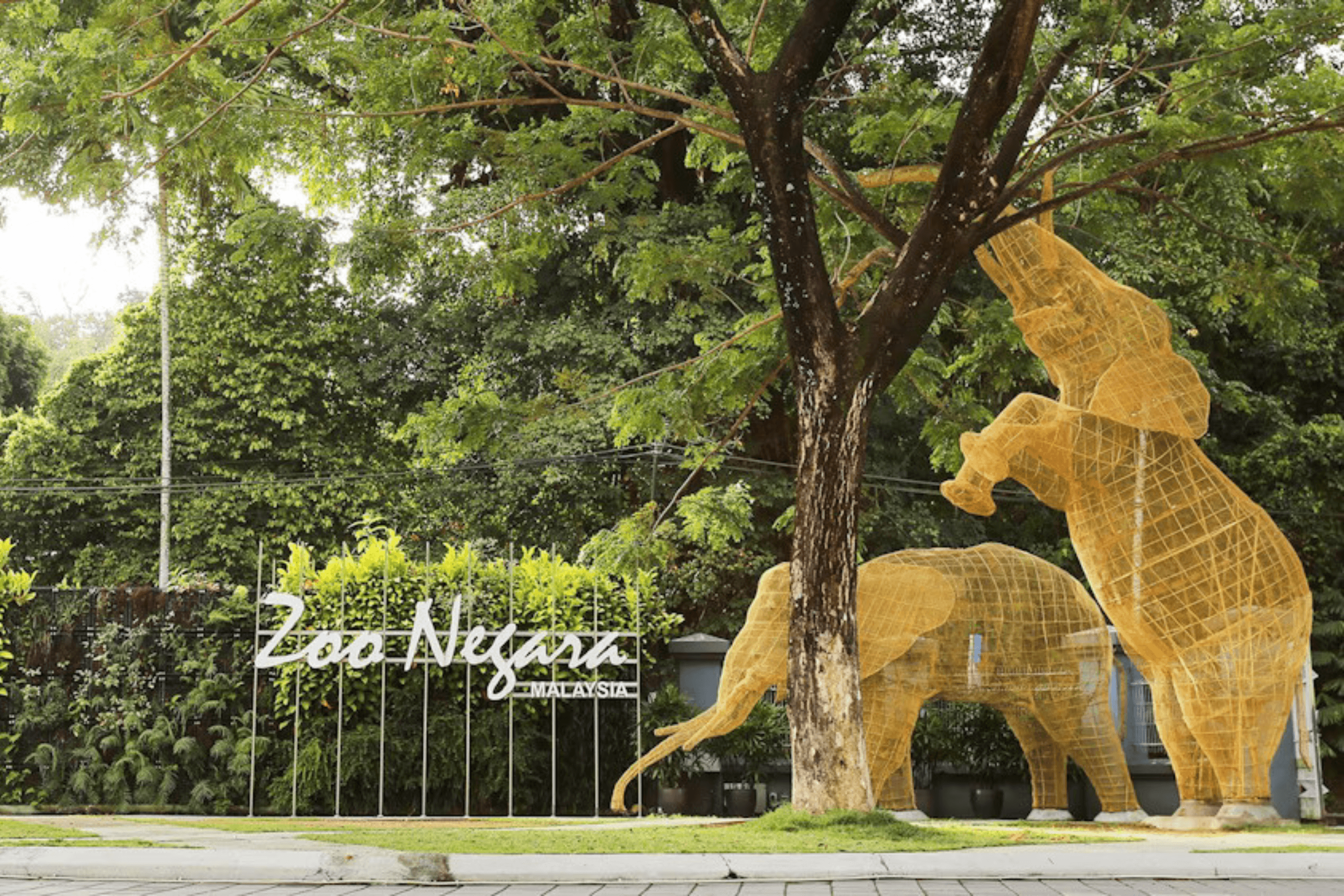 Zoo Negara image 1